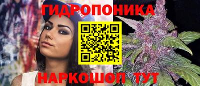 мдпв Канаш