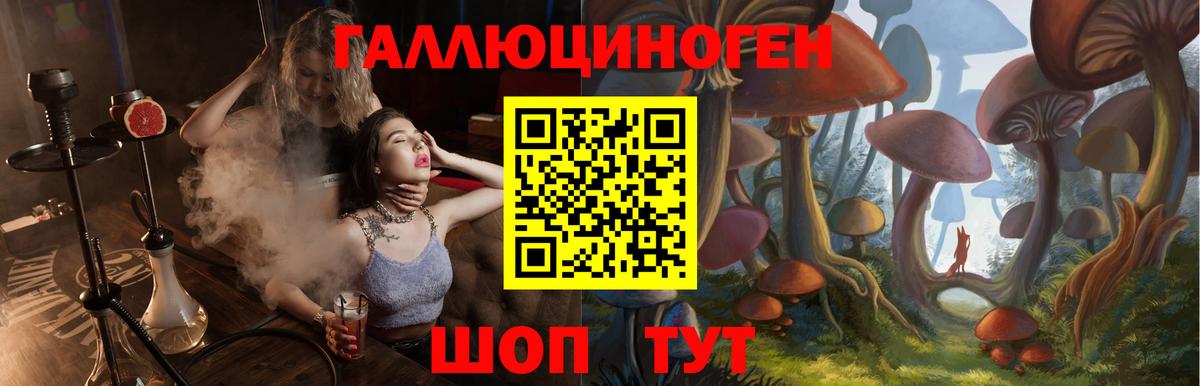 Галлюциногенные грибы Psilocybe Чусовой